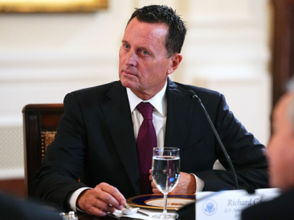 Ric Grenell, special presidential envoy for special missions of the United States, during