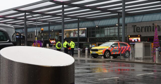 Man Arrested over Pepper Spray Attack at London's Heathrow Airport