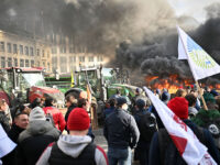 Pictures: Farmers Pelt Police With Potatoes in Protest Against Agriculture-Destroying EU Trade Deal