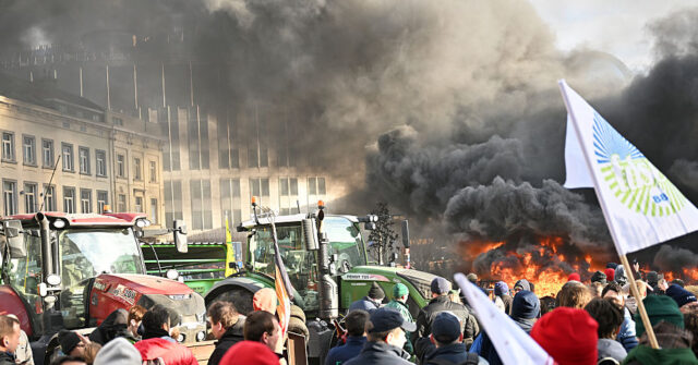 Pictures: Farmers Pelt Police With Potatoes in Protest Against Agriculture-Destroying EU Trade Deal