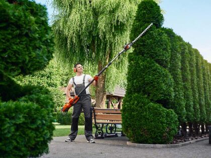 GettyImages1337673232 landscaping