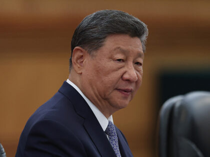 Chinese President Xi Jinping speaks at the beginning of a bilateral meeting with President