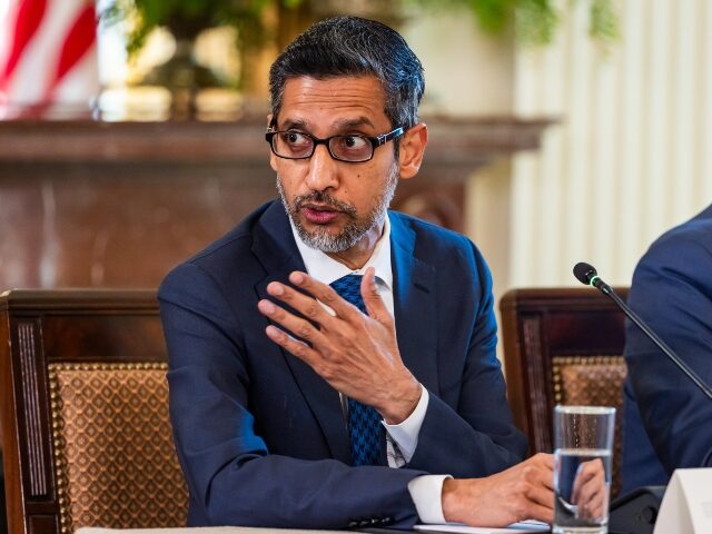 Google boss Sundar Pichai (1)