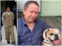 Sanctuary New York: Illegal Alien Accused of Murdering 66-Year-Old Cab Driver