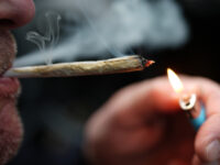 Trump Signs Order Reclassifying Marijuana as Schedule III Drug