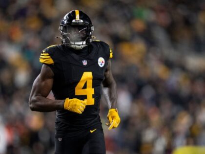 WATCH: Steelers’ DK Metcalf Punches Lions Fan During Wild Altercation