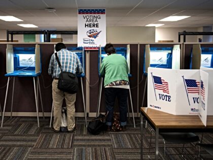 Elon Musk: Minnesota Election Law that Allows a Voter to ‘Vouch’ for 8 Others ‘Ma