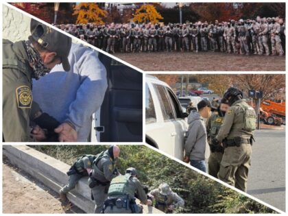 'Operation Charlotte’s Web' Nets 400 Illegal Aliens, Half with 'Significant' Criminal Re