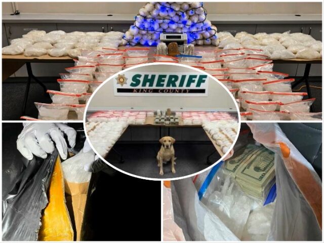 Sinaloa Cartel Drug Flow Into Pacific Northwest Hit Hard in Seattle Meth Seizure (King Cou