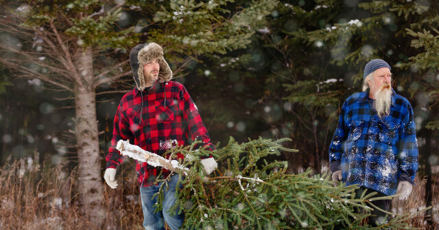 
                            Trump Administration Launches Holiday 'One Dollar, One Tree' Effort