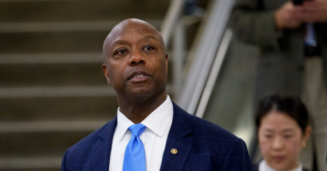 breitbart.com - Sean Moran - Exclusive - Sen. Tim Scott: Trump, Republicans Focusing on Affordability; Democrats 'Trying to Put Coal in America's Stockings'