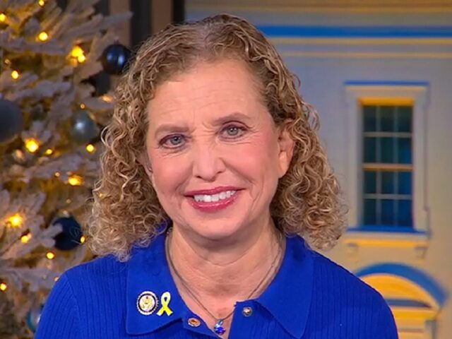 Wasserman Schultz: Trump Wasting ‘Hundreds of Millions of Dollars Deporting People’