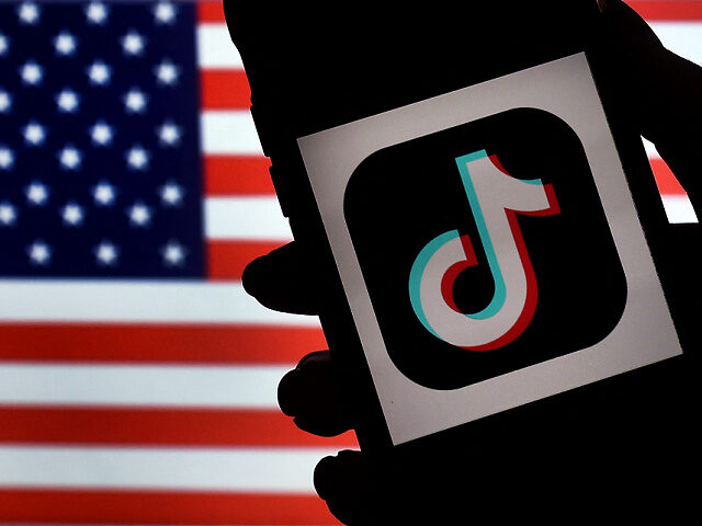 american-flag-social-media-tiktok-logo-stock-getty In this photo illustration, the social media application logo, TikTok is displayed on the