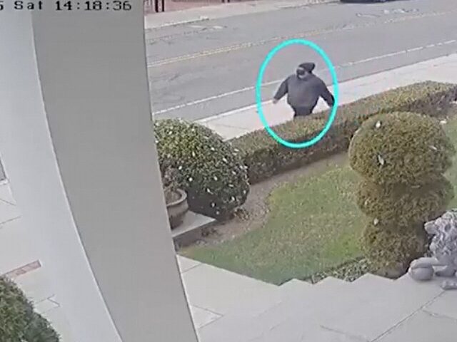 dowloaded december 17, 2025