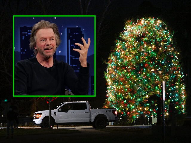 davidspade MCADENVILLE, USA - DECEMBER 1: People including children, gather to attend the tree lighti