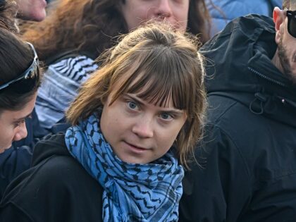 Swedish activist Greta Thunberg (c), activist and trade unionist Jose Nivoi take part in a