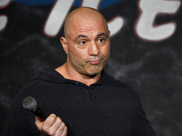 Joe Rogan Says 'AI Could Absolutely Return as Jesus'