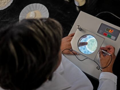 Dr. Raquel Gomez Pliego analyzes the microorganisms of a probiotic under a microscope at t