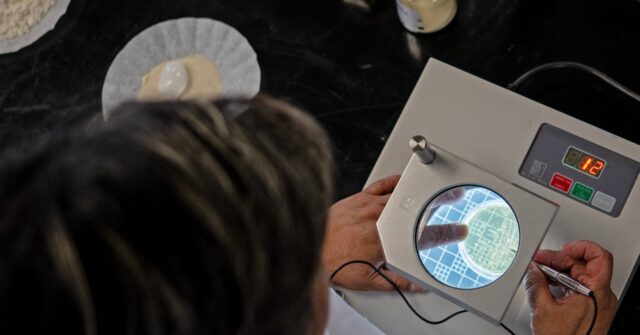 Chinese mRNA Scientist Self-Deports: U.S. ‘Uncertain’ Under Trump