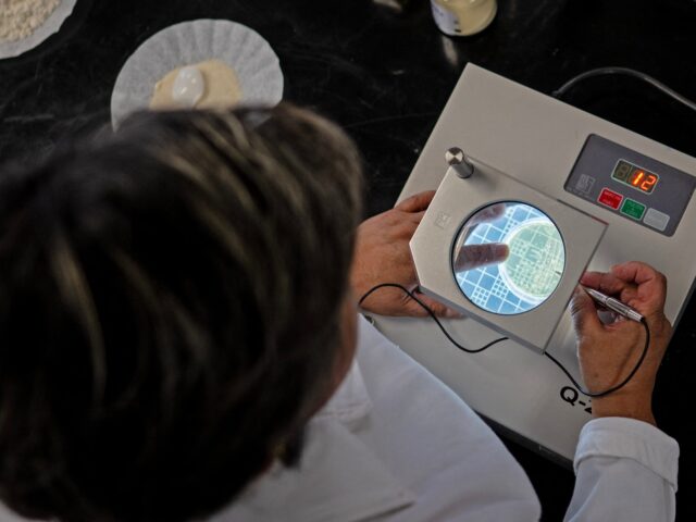 Dr. Raquel Gomez Pliego analyzes the microorganisms of a probiotic under a microscope at t