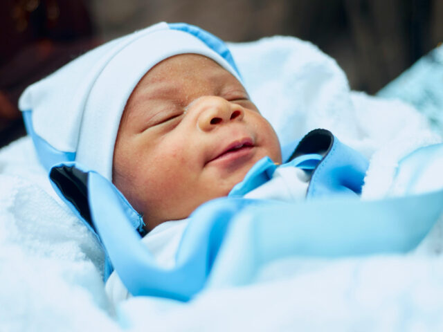 Newborn Surrendered to Safe Haven Baby Box in Montgomery, Alabama