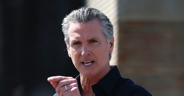 Gavin Newsom Lashes Out After Halle Berry Says He ‘Should Not Be the Next President’