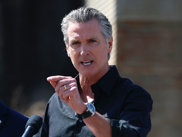 Gavin Newsom Lashes Out After Halle Berry Says He ‘Should Not Be the Next President’