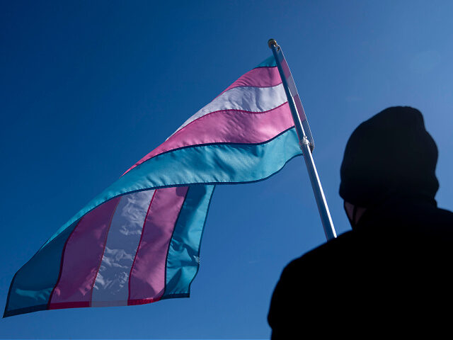 person-holds-transgender-flag-Feb2025-file-getty A demonstrator holds a transgender pride flag during a President's Day protest near the US