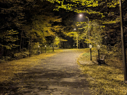 Nighttime Autumn Park Path with Streetlights