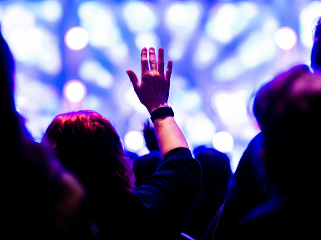 Hands in Air at Concert