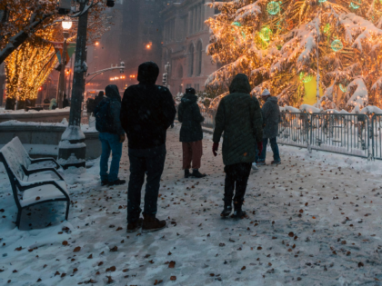 Christmas Tree in Snowy Urban Park