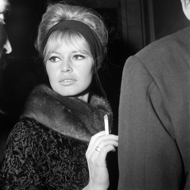 The iconic face of French cinema in the 1960s, Brigitte Bardot gave it all up in 1973 to d