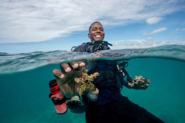 APTOPIX Climate Dominican Republic Coral The Associated Press
