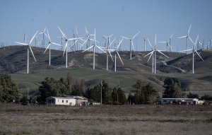 Federal judge strikes down Trump's ban on wind energy projects