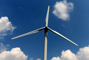 Interior Department pauses leases for offshore wind farms