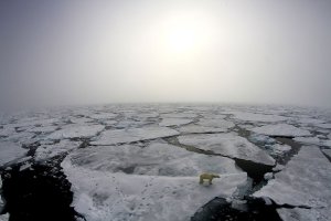 NOAA's Arctic report outlines how its winter's being 'redefined'