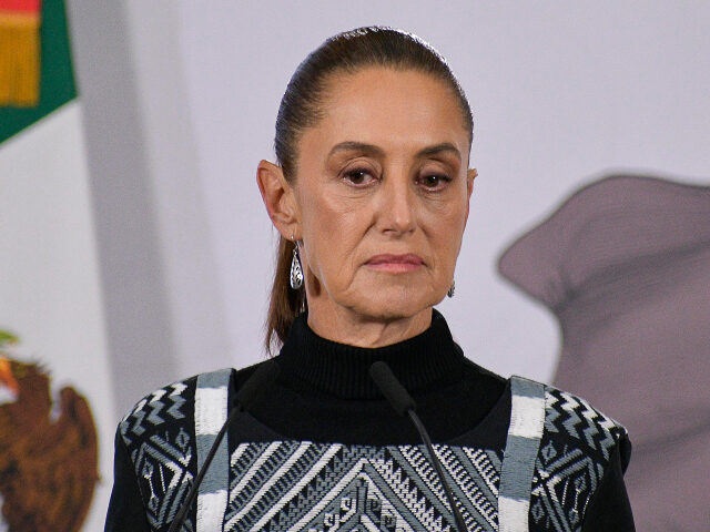 Claudia Sheinbaum President of Mexico Claudia Sheinbaum gestures during the daily morning briefing at Palaci