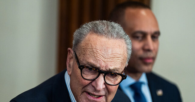 Democrats Begin New Year Facing Persistent Disarray Ahead of 2028