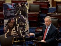 Disinformation Agent: Sen. Dick Durbin Brings AI-Generated Image of Alex Pretti Shooting to Senate 