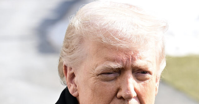 President Trump on Alex Pretti: 'I Don't Like the Fact that He Was Carrying a Gun'