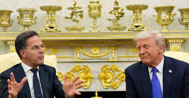 Rutte to Trump: I'm 'Committed to Finding a Way Forward on Greenland'