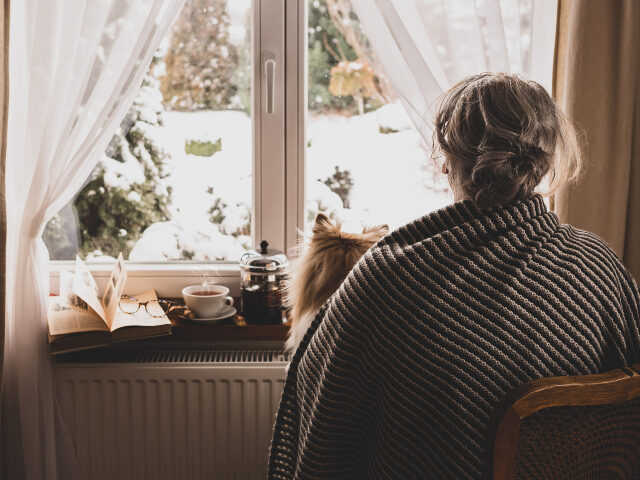 Old retired woman (senior) with a dog by the home window watching a winter garden outside.