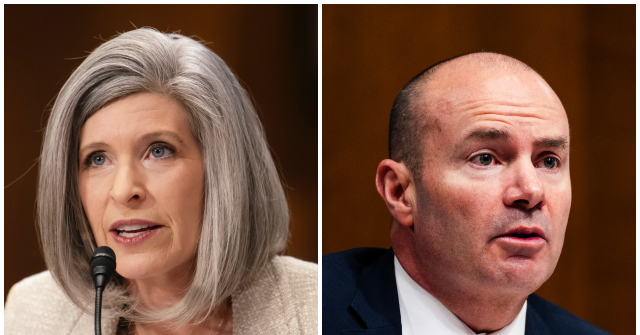 
                            Joni Ernst, Mike Lee Sound Alarm on Alleged Fraud by Somali-Owned Rehab Center in Minneapolis