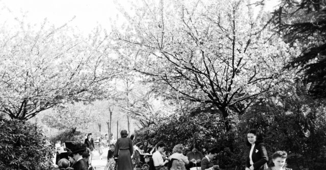 Demographic Winter: France Sees More Deaths Than Births for First Time Since WW2