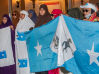 Minnesota Democrats Blocked Auditors from Tackling ‘Avalanche’ of Somali Fraud, Blackli