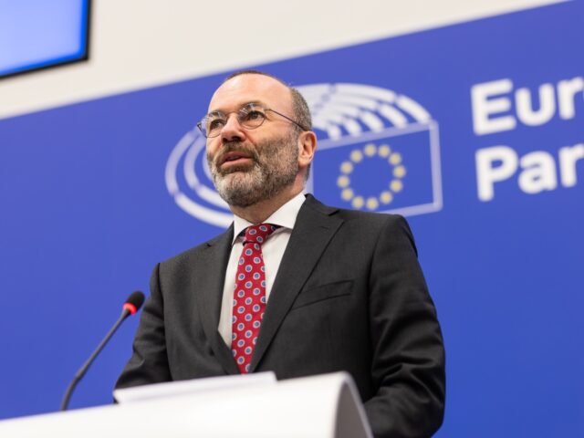 17 December 2024, France, Straßburg: Manfred Weber (CSU), Chairman of the EPP Group, spea