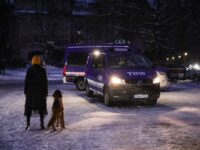 BERLIN, GERMANY - JANUARY 4: A woman walks her dog next to vehicles of the German Federal