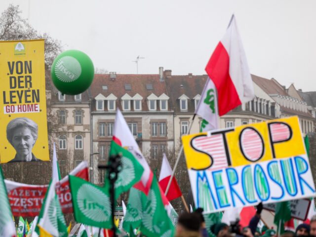 EU to Implement South American Trade Deal Despite Vote Demanding Judicial Review