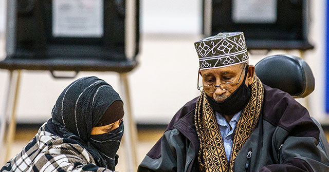 Nolte: GOP Probes How Dems Use Illegals and Refugees to Rig Elections