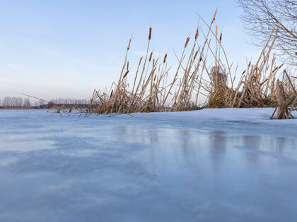 Young Hunter Dies After Falling Through a Frozen Pond While Trying to Save His Dog